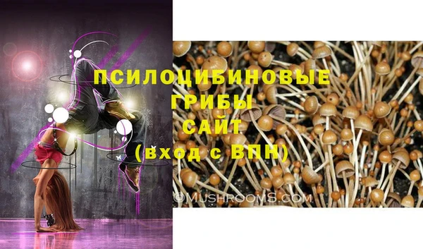 ПСИЛОЦИБИНОВЫЕ ГРИБЫ Горняк