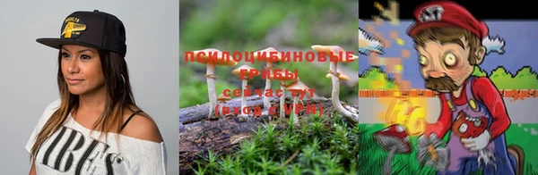 ПСИЛОЦИБИНОВЫЕ ГРИБЫ Горняк