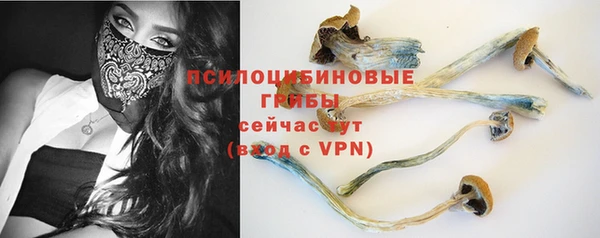 Альфа ПВП Горно-Алтайск