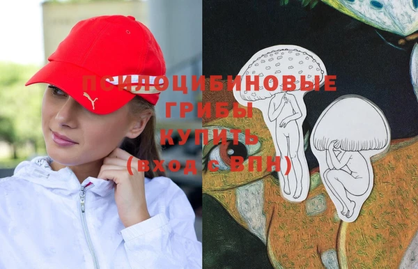ПСИЛОЦИБИНОВЫЕ ГРИБЫ Горняк