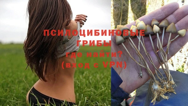 Альфа ПВП Горно-Алтайск