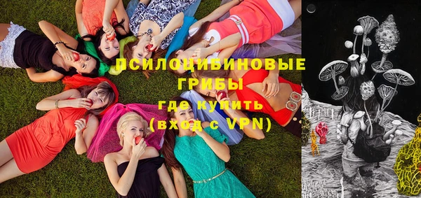 ПСИЛОЦИБИНОВЫЕ ГРИБЫ Горняк