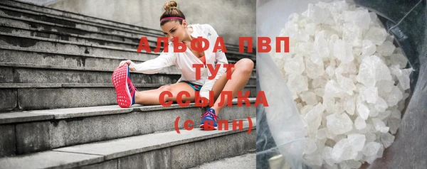 ПСИЛОЦИБИНОВЫЕ ГРИБЫ Горняк
