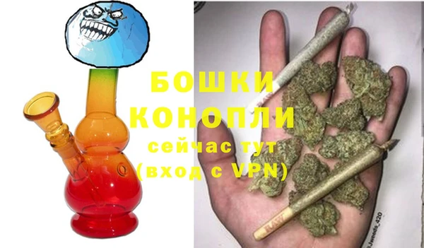ПСИЛОЦИБИНОВЫЕ ГРИБЫ Горняк
