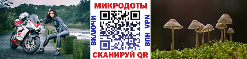 Купить  Билибино  Галлюциногенные грибы Magic Shrooms 